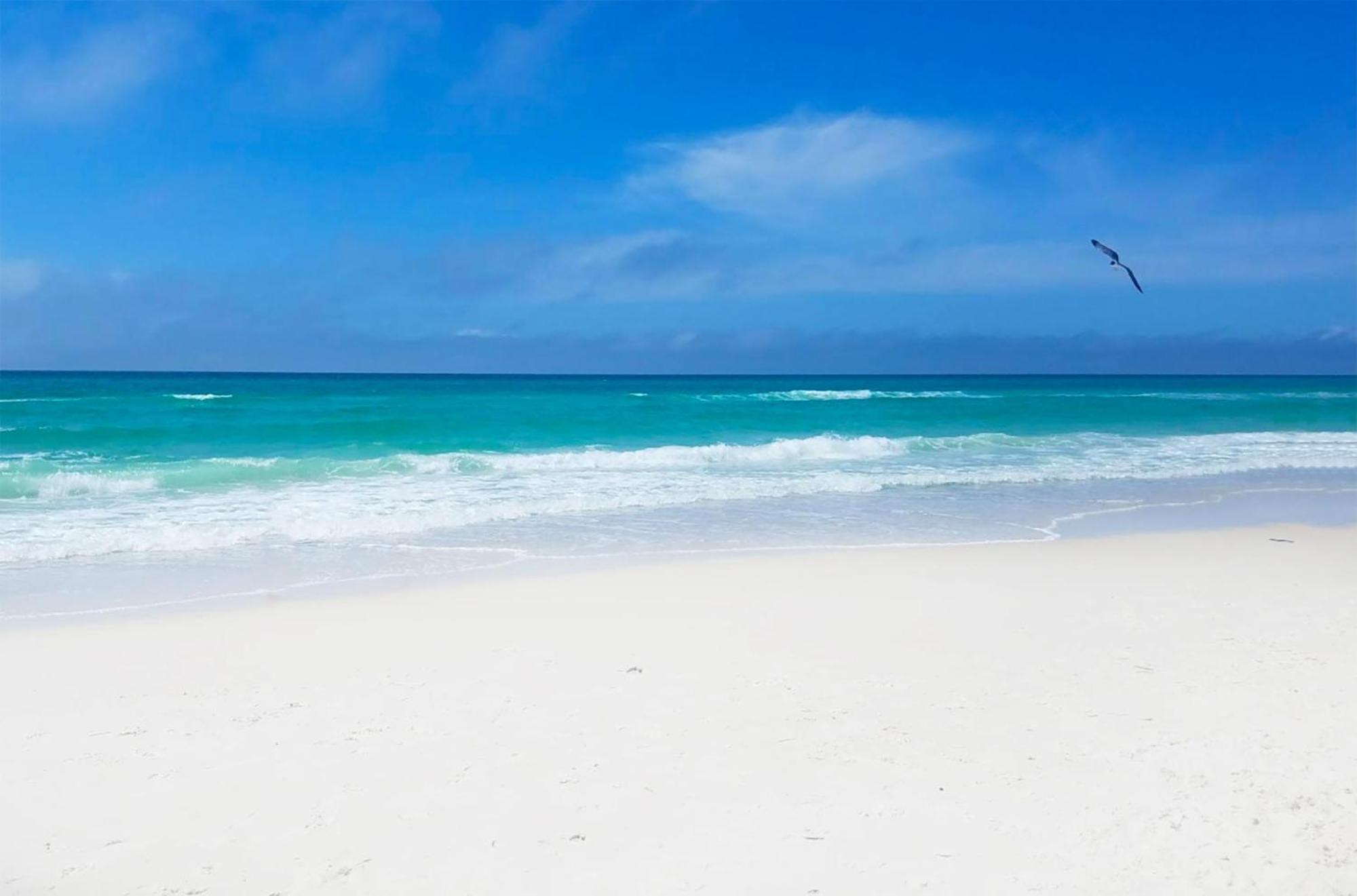 Emerald Beach 1033 بنما سيتي بيتش المظهر الخارجي الصورة
